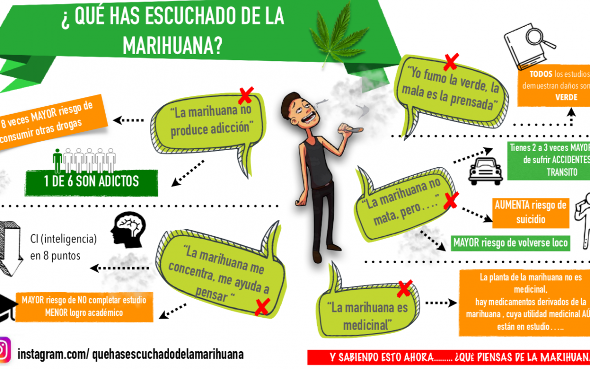 Mitos y verdades de la marihuana… ¿qué has escuchado de ella?
